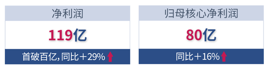 LETOU��(�й���)���޹�˾����